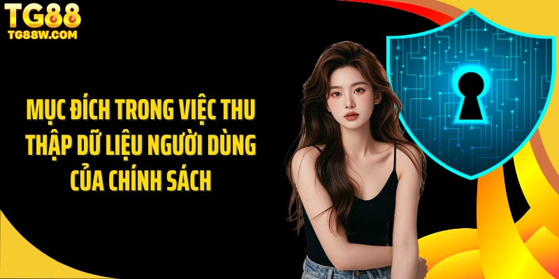 Mục đích trong việc thu thập dữ liệu người dùng của chính sách