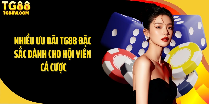 Nhiều ưu đãi Tg88 đặc sắc dành cho hội viên cá cược