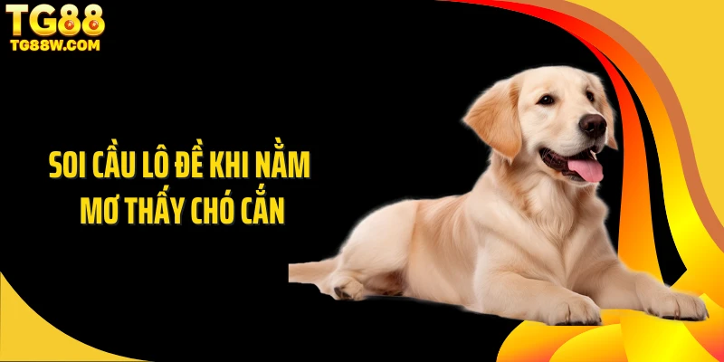 Soi cầu lô đề khi nằm mơ thấy chó cắn