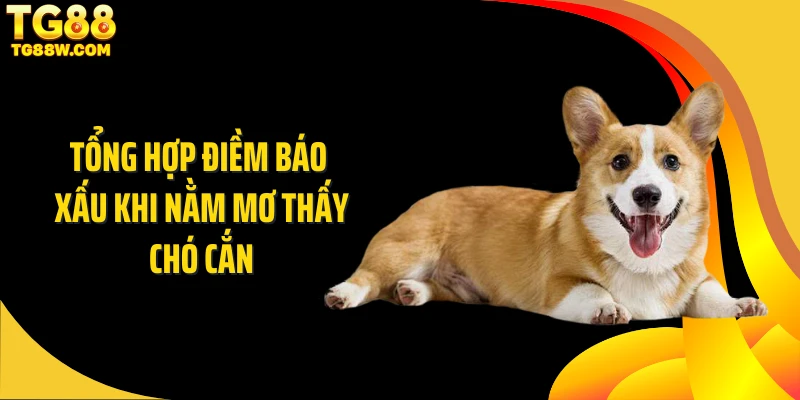 Tổng hợp điềm báo xấu khi nằm mơ thấy chó cắn